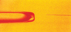 Micropippetes used for ICSI